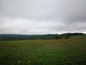 59